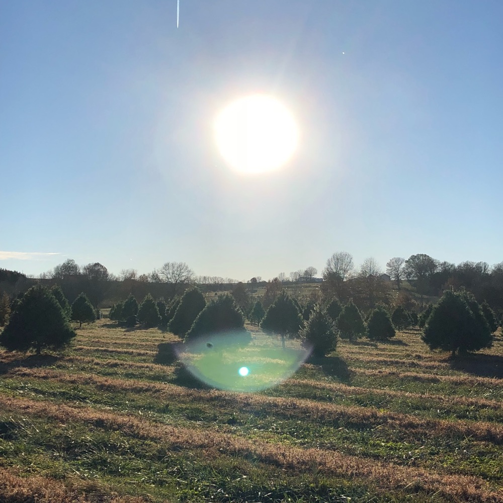 Meet your Posher, Courson